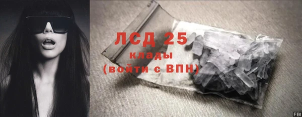 ГАЛЛЮЦИНОГЕННЫЕ ГРИБЫ Козельск