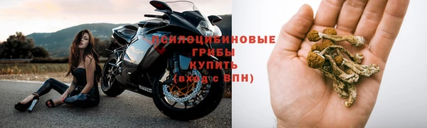 гидра Кодинск