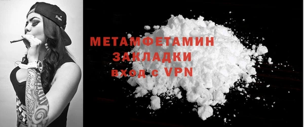 гидра Кодинск