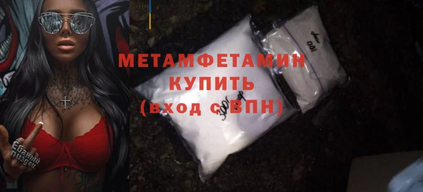 гидра Кодинск