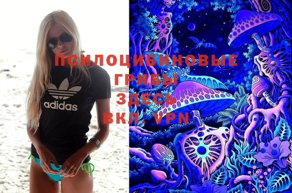 первитин Козловка