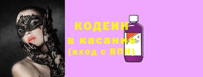 гидра Кодинск