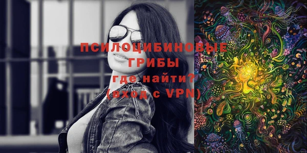 ГАЛЛЮЦИНОГЕННЫЕ ГРИБЫ Козельск