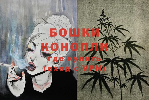 гидра Кодинск
