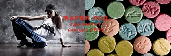 гидра Кодинск
