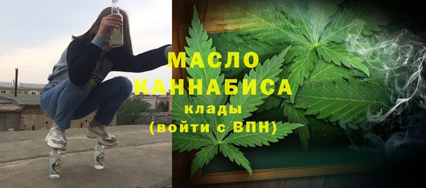гидра Кодинск