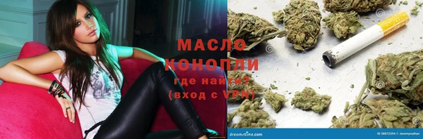 гидра Кодинск