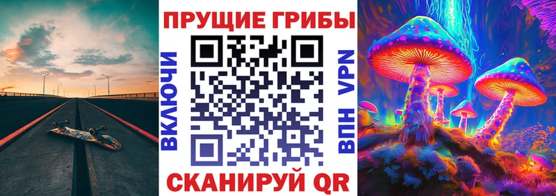 где найти наркотики Коркино KRAKEN как войти Галлюциногенные грибы Psilocybe