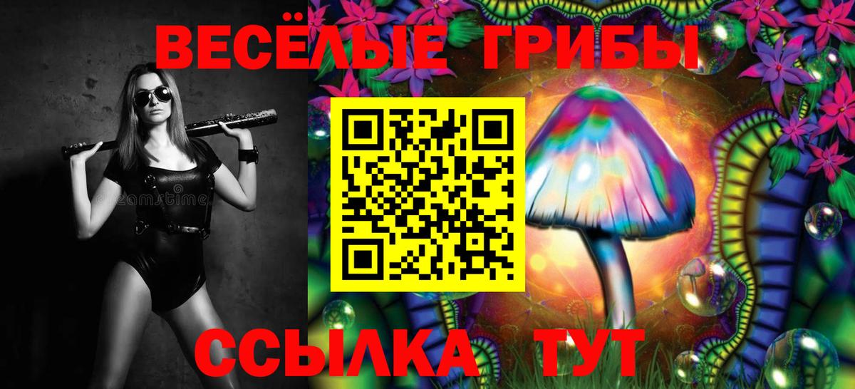 Галлюциногенные грибы Cubensis  Вход с VPN  Коркино 